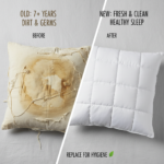 Wanneer Kussen Vervangen? 7 Duidelijke Signalen