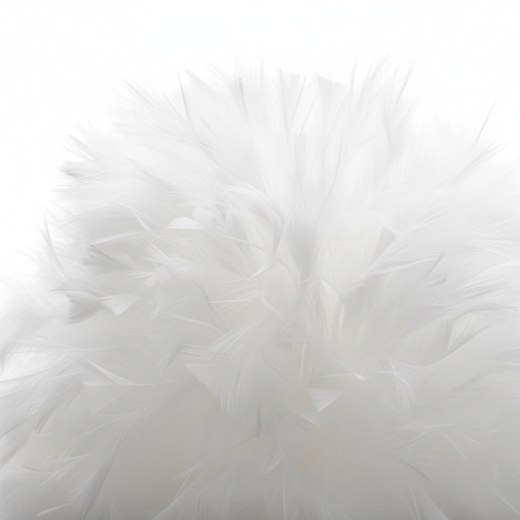 Donsveertjes close-up - zachte pluizige structuur zonder harde schacht